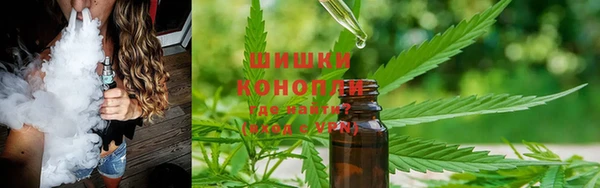молекула духа Инсар