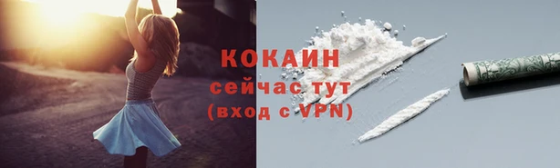 молекула духа Инсар