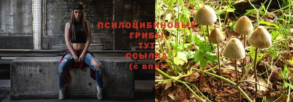 молекула духа Инсар
